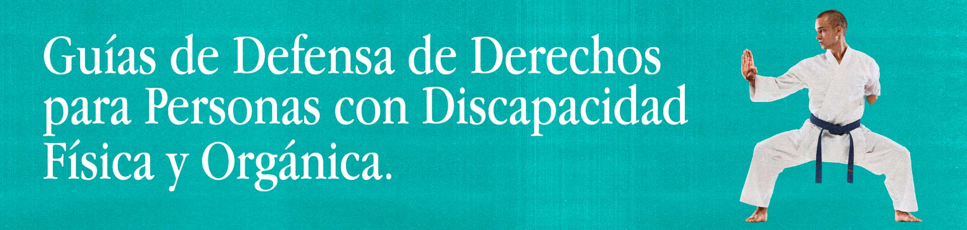 Guías de Defensa de Derechos para Personas con Discapacidad Física y Orgánica